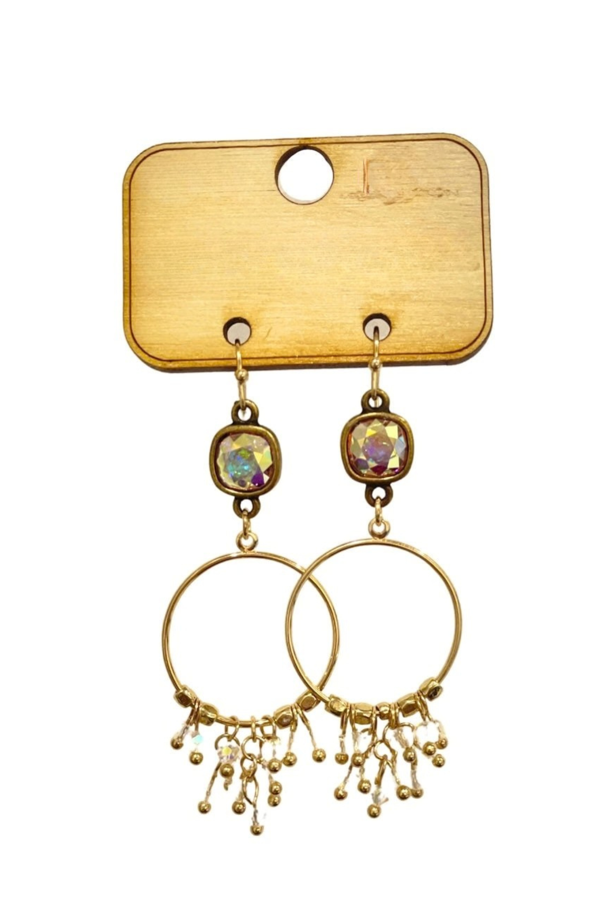 Iridescent & Gold Fringe Hoop Earrings